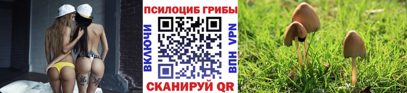 Галлюциногенные грибы прущие грибы  mega вход  Миллерово 