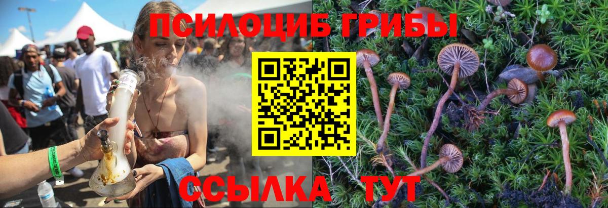 Миллерово  Галлюциногенные грибы Cubensis  купить наркотики цена  Вход с VPN 